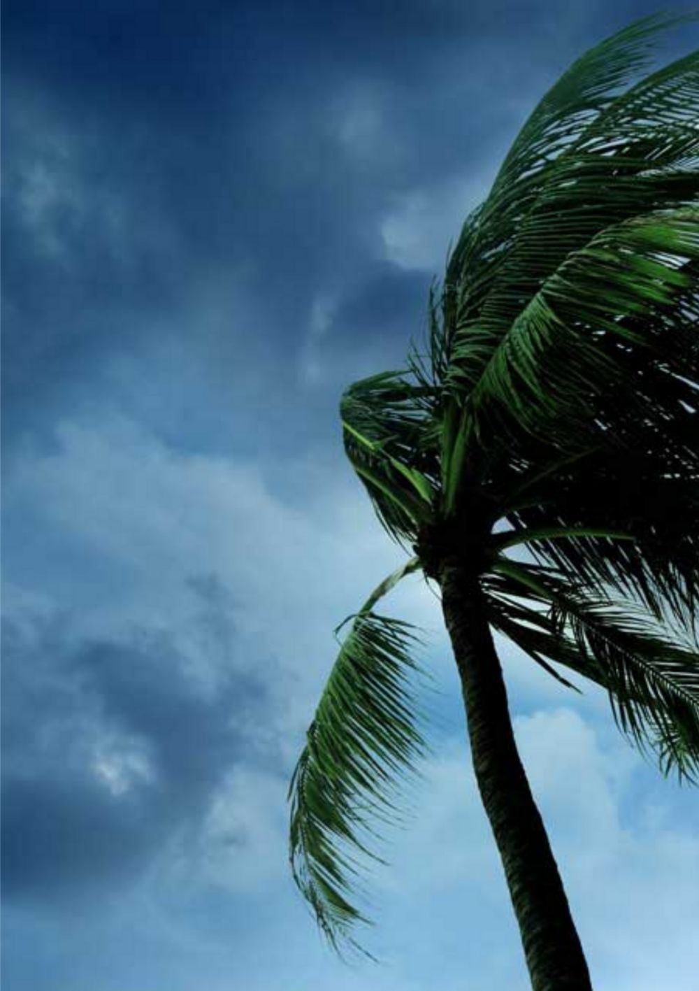 Laminated glass basics: storm 